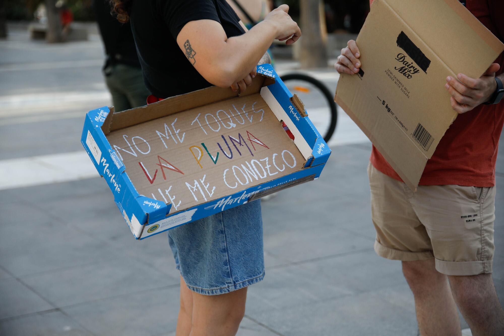 28J de 2025 en Almería (3)